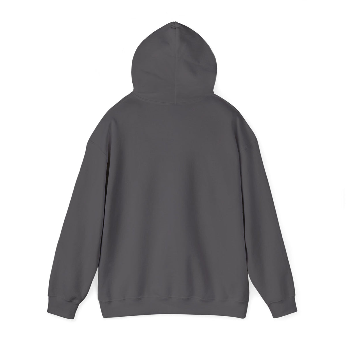 Broke Is a Season, Not a Sentence — Hoodie