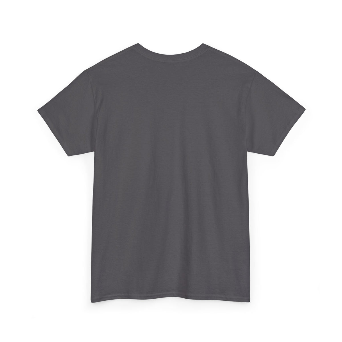 Storms Pass. — Unisex Tee