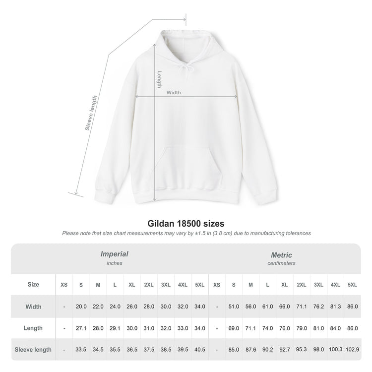 Broke Is a Season, Not a Sentence — Hoodie