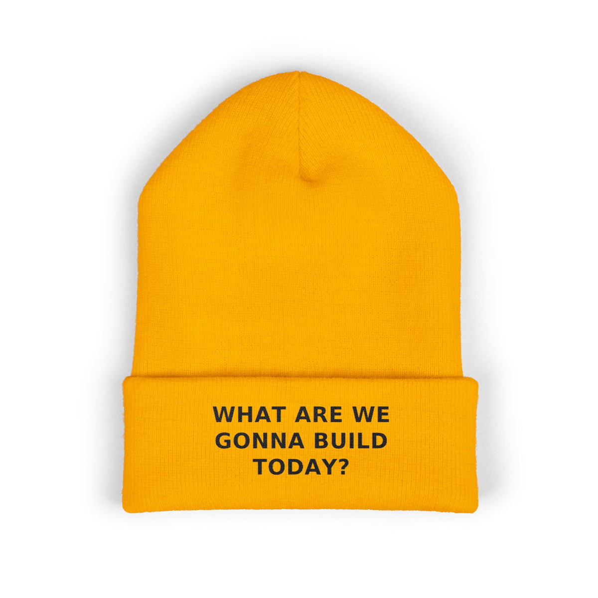 What Are We Gonna Build Today? — Beanie