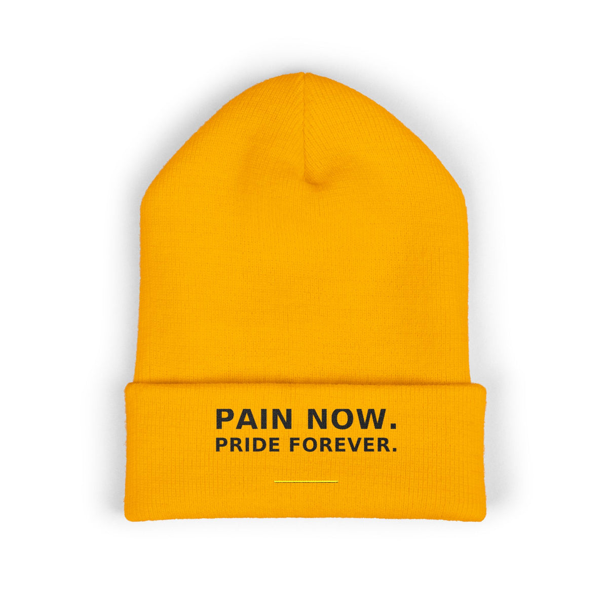 Pain Now. Pride Forever. — Beanie