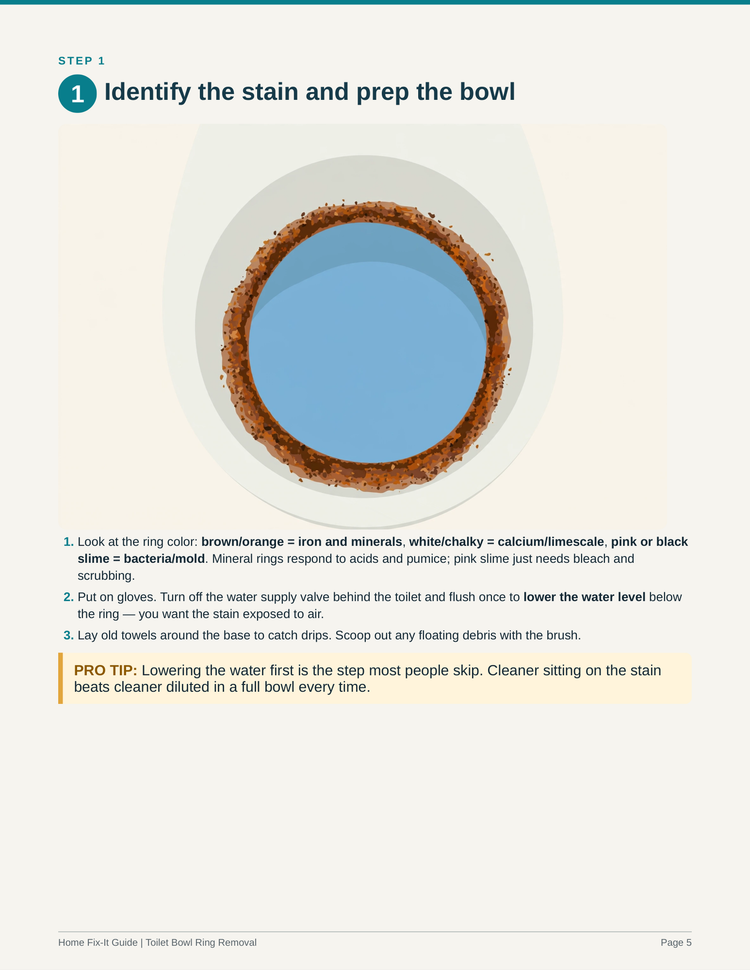 Toilet Bowl Ring Removal Guide PDF | Hard Water Stain Remover DIY | Bathroom eBook